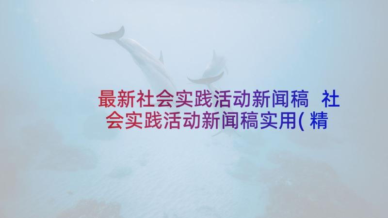 最新社会实践活动新闻稿 社会实践活动新闻稿实用(精选7篇)