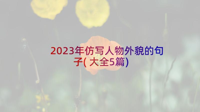 2023年仿写人物外貌的句子(大全5篇)