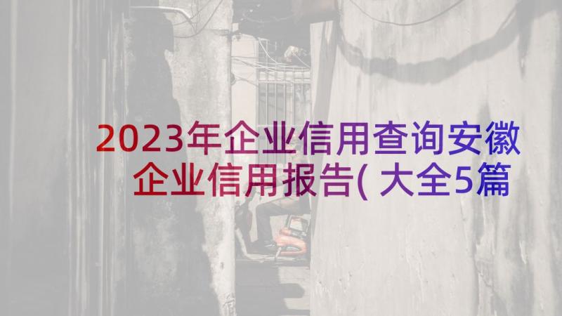 2023年企业信用查询安徽 企业信用报告(大全5篇)