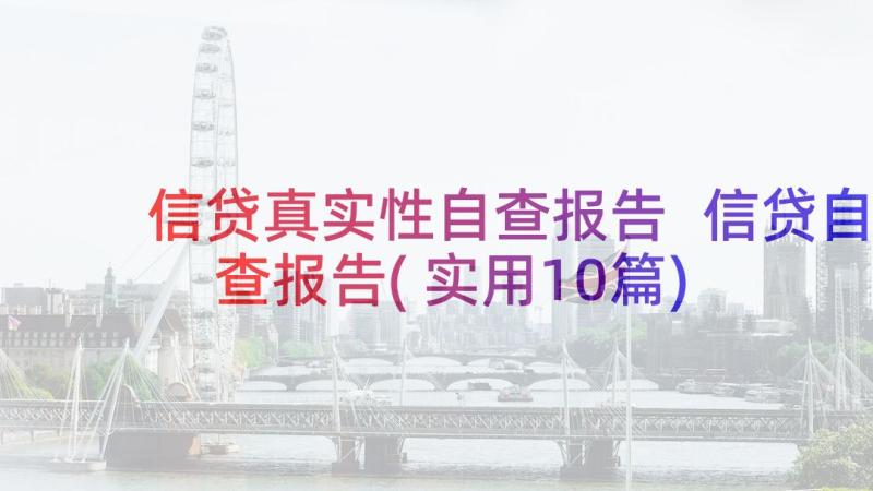 信贷真实性自查报告 信贷自查报告(实用10篇)