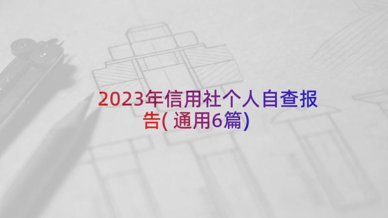 2023年信用社个人自查报告(通用6篇)