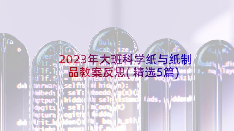 2023年大班科学纸与纸制品教案反思(精选5篇)