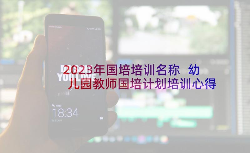 2023年国培培训名称 幼儿园教师国培计划培训心得(通用10篇)