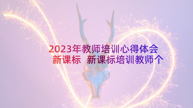 2023年教师培训心得体会新课标 新课标培训教师个人心得体会(优质5篇)