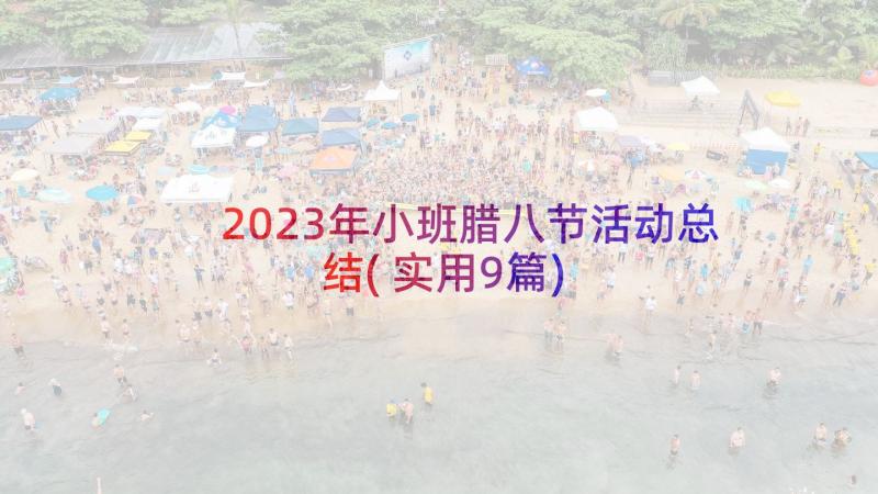 2023年小班腊八节活动总结(实用9篇)