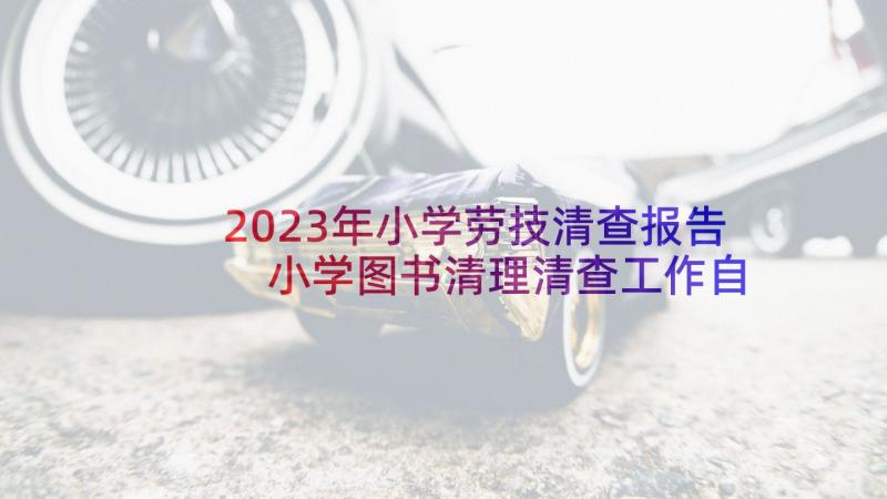 2023年小学劳技清查报告 小学图书清理清查工作自查报告(大全5篇)