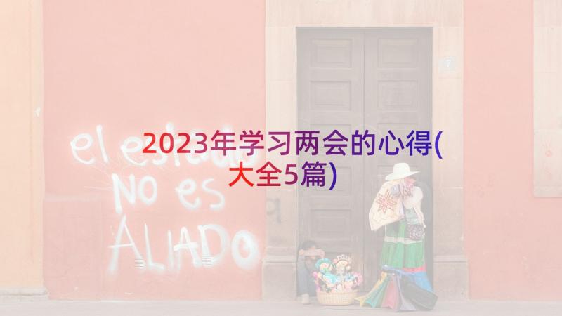 2023年学习两会的心得(大全5篇)