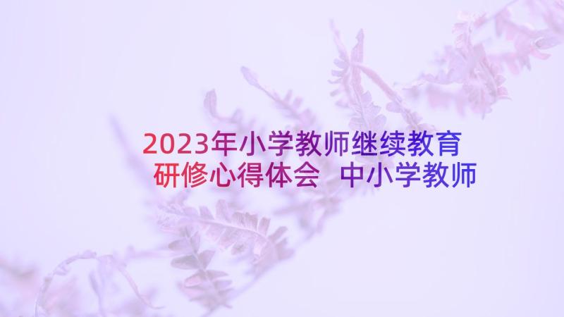 2023年小学教师继续教育研修心得体会 中小学教师继续教育心得体会(通用10篇)