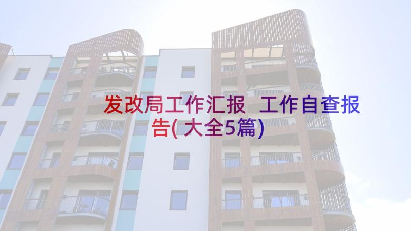 发改局工作汇报 工作自查报告(大全5篇)