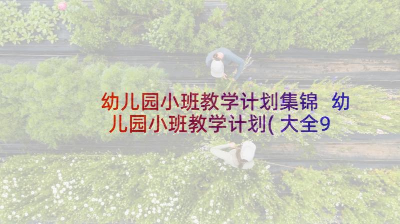 幼儿园小班教学计划集锦 幼儿园小班教学计划(大全9篇)