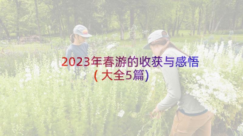 2023年春游的收获与感悟(大全5篇)