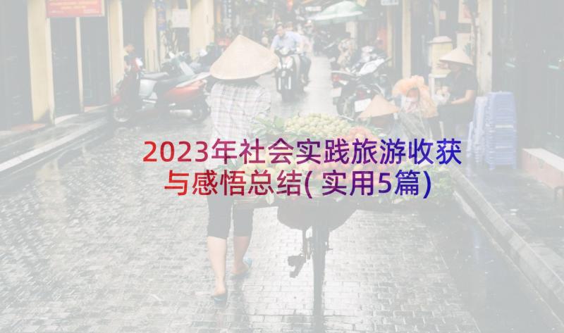 2023年社会实践旅游收获与感悟总结(实用5篇)