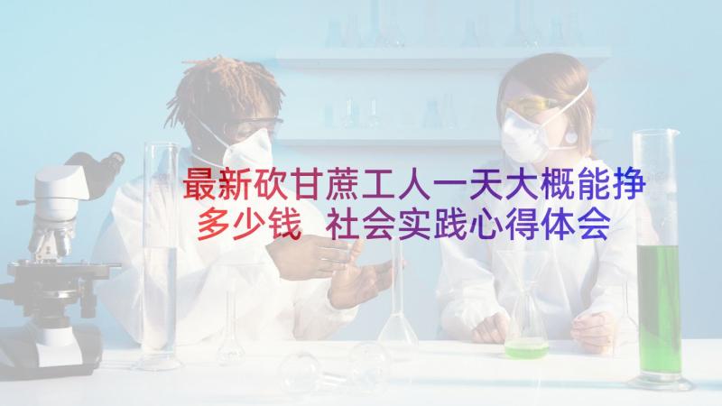 最新砍甘蔗工人一天大概能挣多少钱 社会实践心得体会(优质7篇)