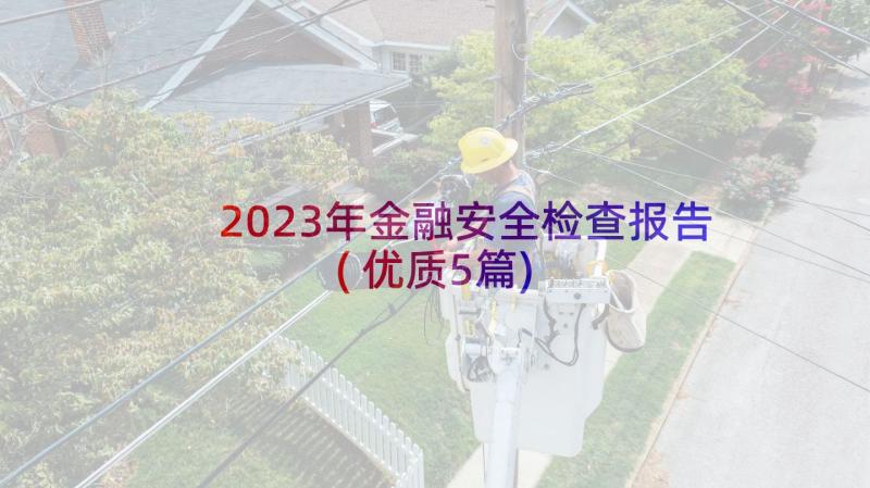 2023年金融安全检查报告(优质5篇)