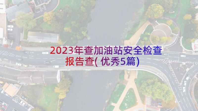 2023年查加油站安全检查报告查(优秀5篇)