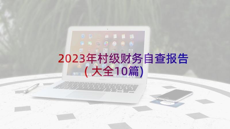 2023年村级财务自查报告(大全10篇)