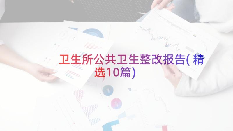 卫生所公共卫生整改报告(精选10篇)