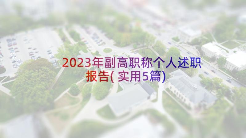 2023年副高职称个人述职报告(实用5篇)