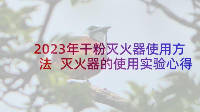 2023年干粉灭火器使用方法 灭火器的使用实验心得体会(精选5篇)