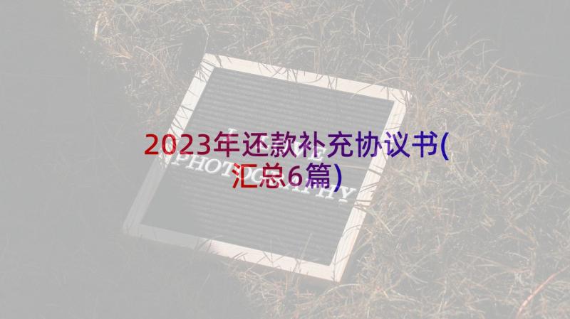 2023年还款补充协议书(汇总6篇)