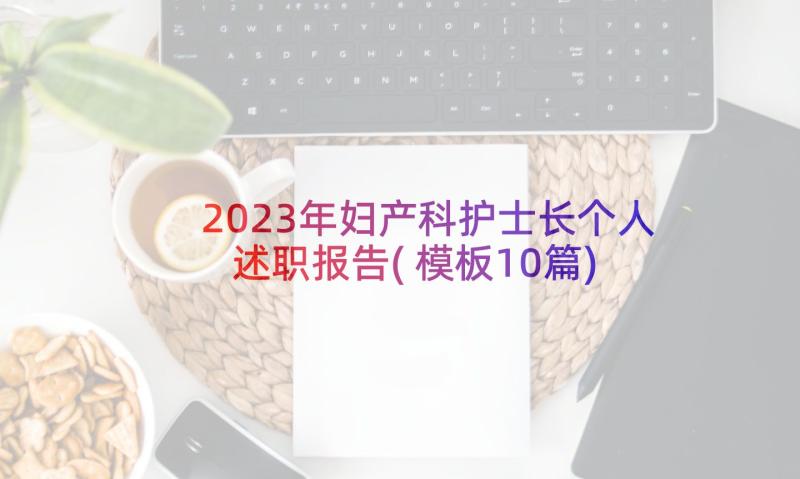 2023年妇产科护士长个人述职报告(模板10篇)