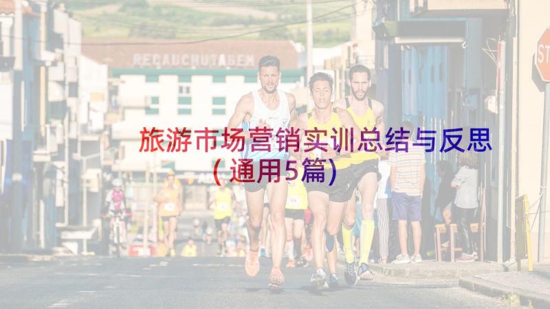 旅游市场营销实训总结与反思(通用5篇)