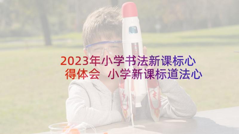 2023年小学书法新课标心得体会 小学新课标道法心得体会(大全7篇)