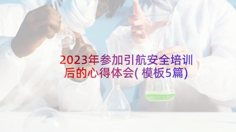 2023年参加引航安全培训后的心得体会(模板5篇)