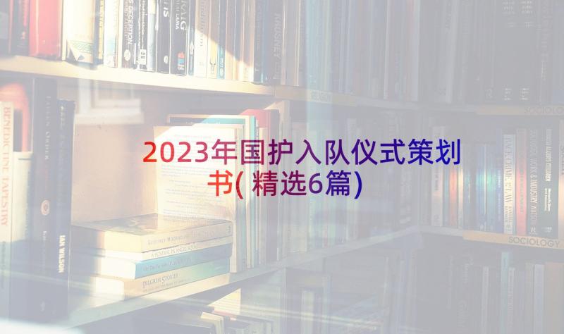 2023年国护入队仪式策划书(精选6篇)