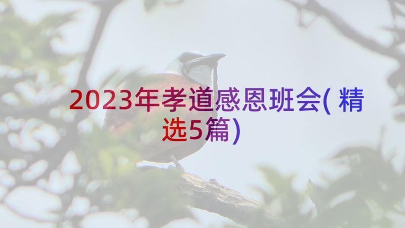 2023年孝道感恩班会(精选5篇)