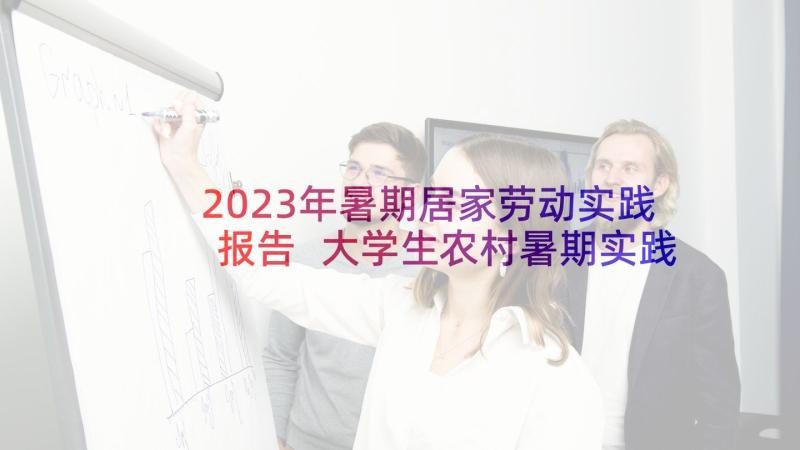 2023年暑期居家劳动实践报告 大学生农村暑期实践报告(大全5篇)