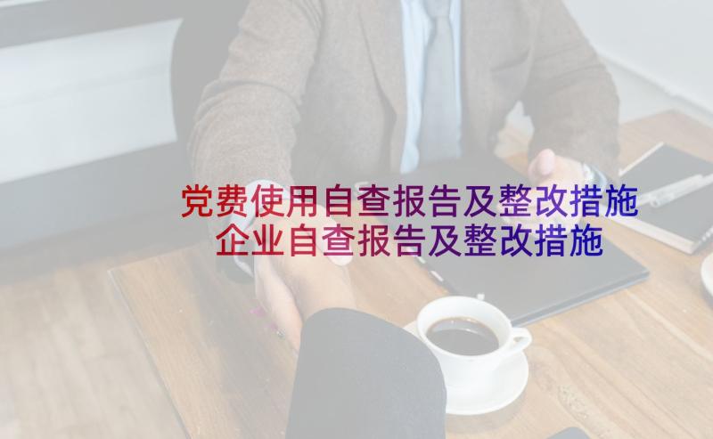 党费使用自查报告及整改措施 企业自查报告及整改措施(优质9篇)