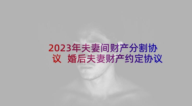 2023年夫妻间财产分割协议 婚后夫妻财产约定协议书(模板6篇)