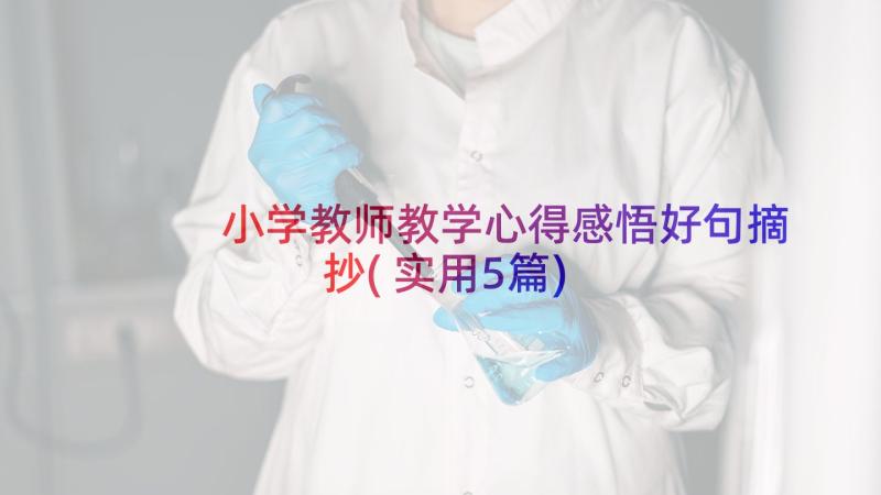 小学教师教学心得感悟好句摘抄(实用5篇)