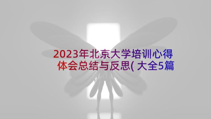 2023年北京大学培训心得体会总结与反思(大全5篇)
