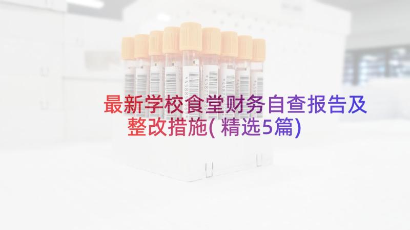 最新学校食堂财务自查报告及整改措施(精选5篇)