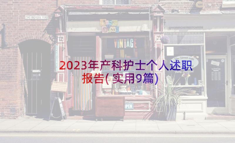 2023年产科护士个人述职报告(实用9篇)