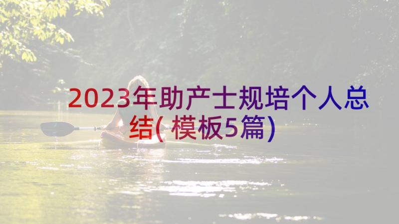 2023年助产士规培个人总结(模板5篇)