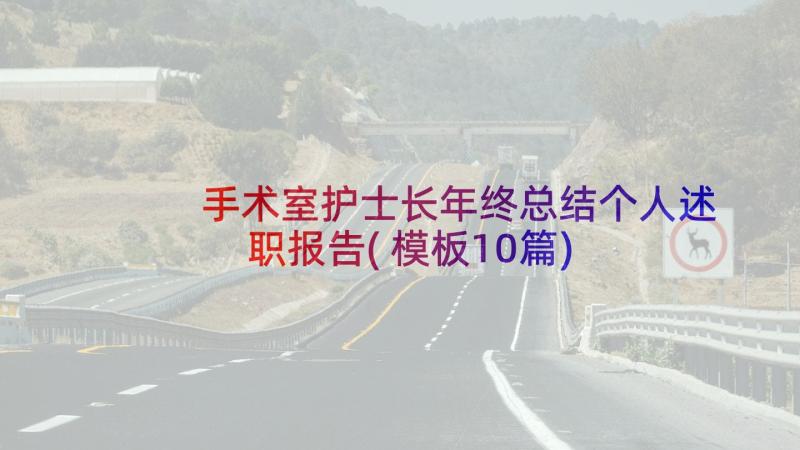 手术室护士长年终总结个人述职报告(模板10篇)