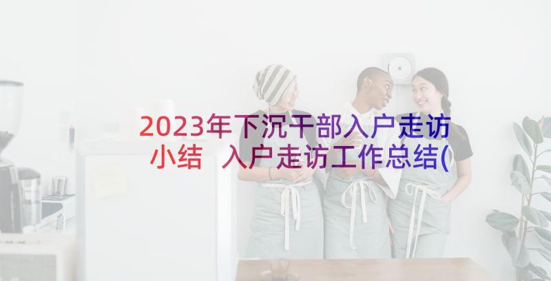 2023年下沉干部入户走访小结 入户走访工作总结(精选5篇)