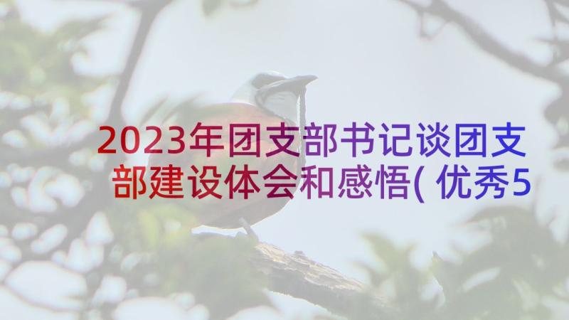 2023年团支部书记谈团支部建设体会和感悟(优秀5篇)