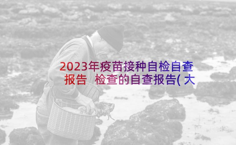 2023年疫苗接种自检自查报告 检查的自查报告(大全8篇)