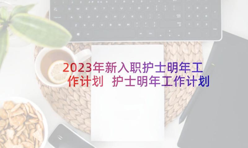 2023年新入职护士明年工作计划 护士明年工作计划(精选6篇)