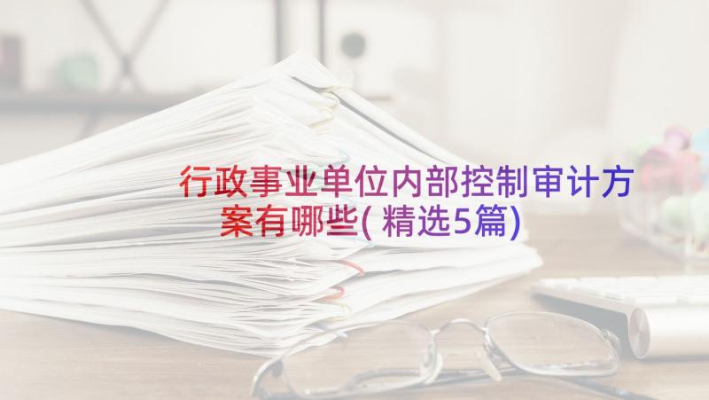 行政事业单位内部控制审计方案有哪些(精选5篇)