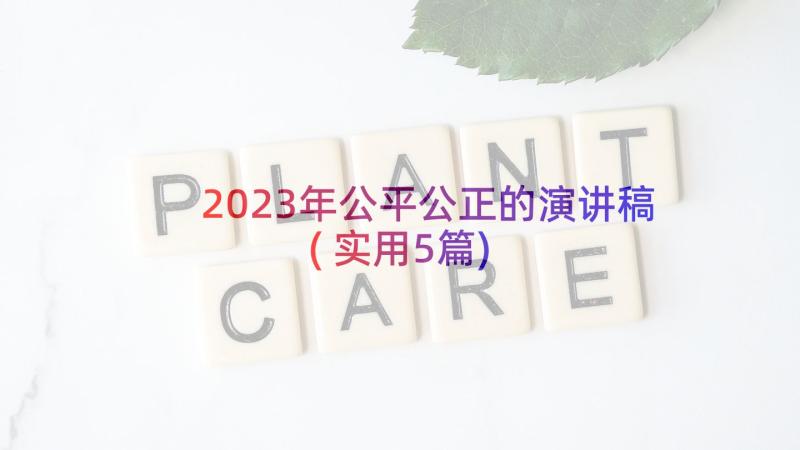 2023年公平公正的演讲稿(实用5篇)