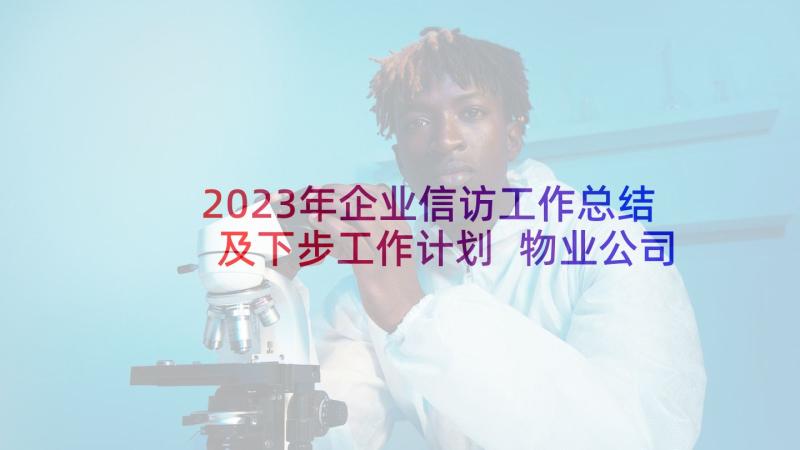 2023年企业信访工作总结及下步工作计划 物业公司的全年工作计划(大全10篇)