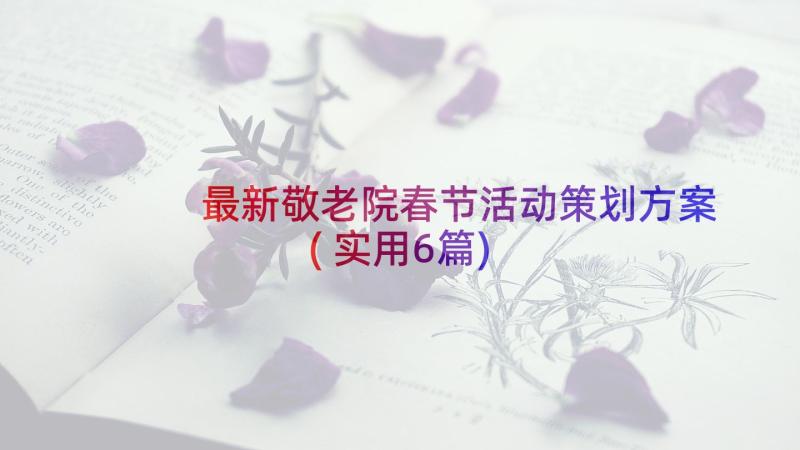 最新敬老院春节活动策划方案(实用6篇)