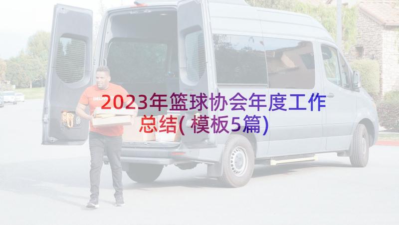 2023年篮球协会年度工作总结(模板5篇)