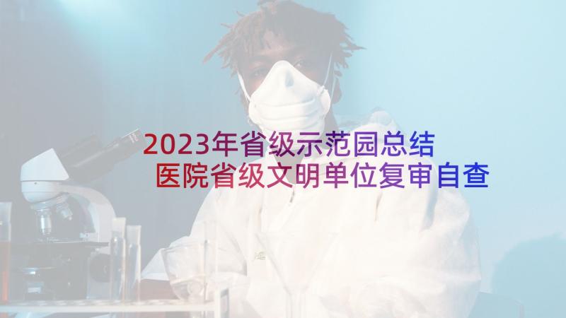 2023年省级示范园总结 医院省级文明单位复审自查报告(通用5篇)