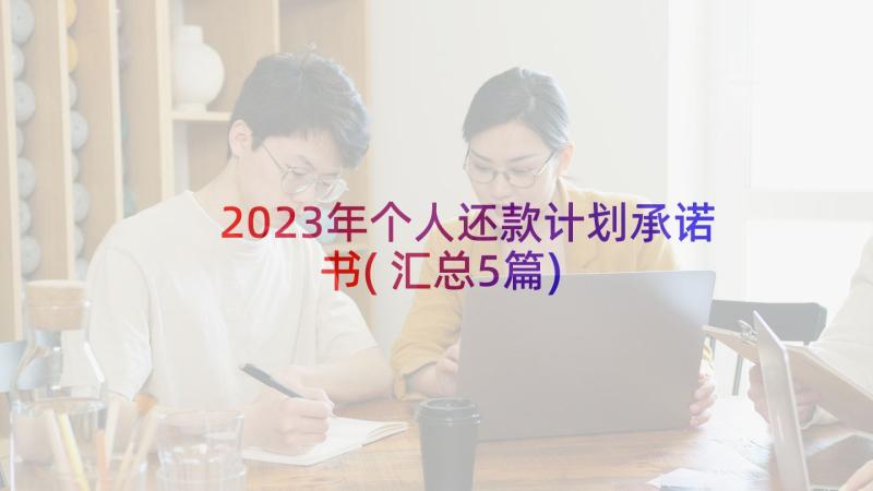 2023年个人还款计划承诺书(汇总5篇)